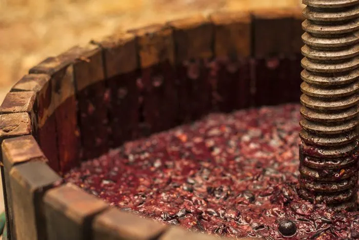 Aus Trauben wird Wein