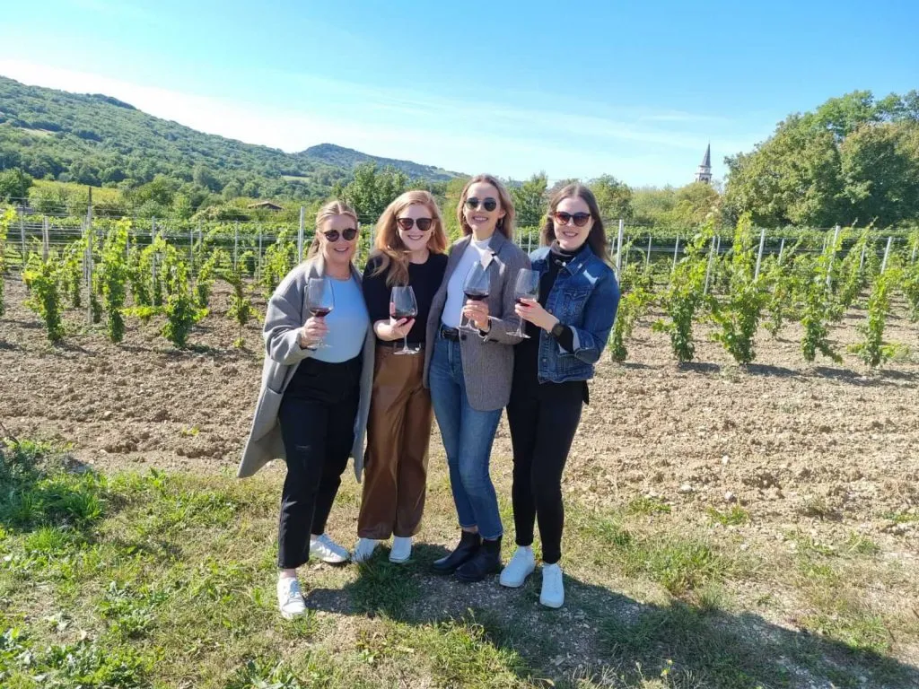 Uživanje vina v vinogradu